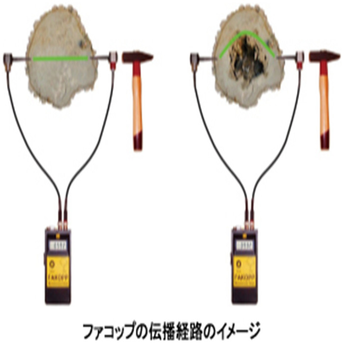 木材试验机 FAKOPP FTS